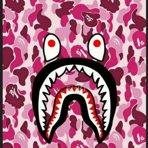 Meet your Posher, Terry